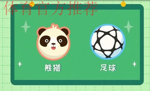 《熊猫说球》第三集：球和球场